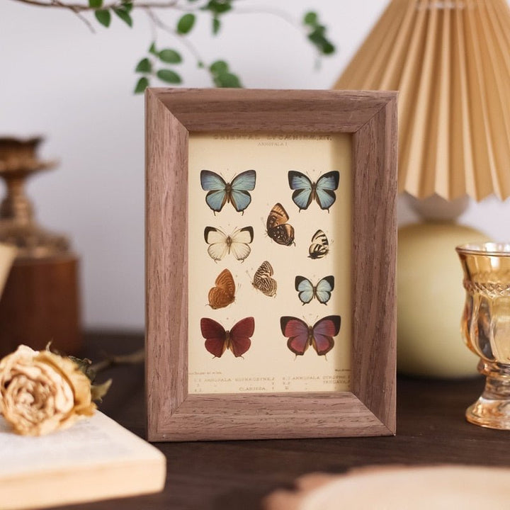 Kendrick Butterflies Decals - Réunisstore